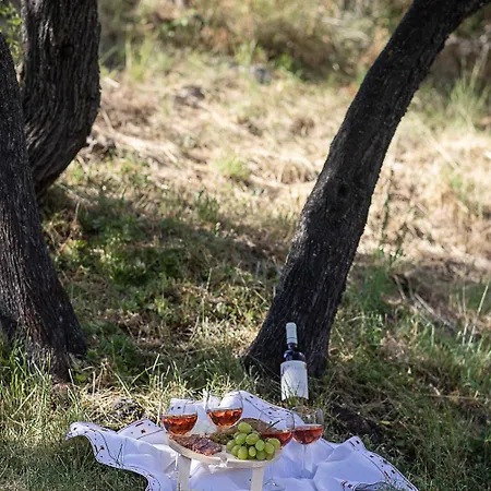 Cozy Da Silvio E Bruna * Santo Stefano Di Sessanio