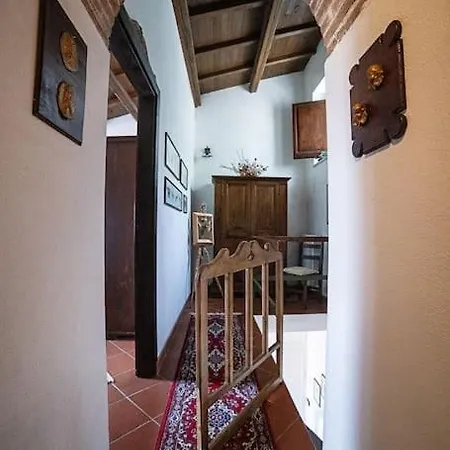 Cozy Da Silvio E Bruna *